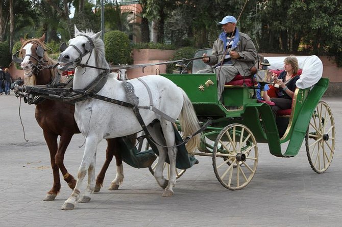 Withlocale Guide Marrakech Excursion -Group Shared- From Agadir - Reviews and Feedback