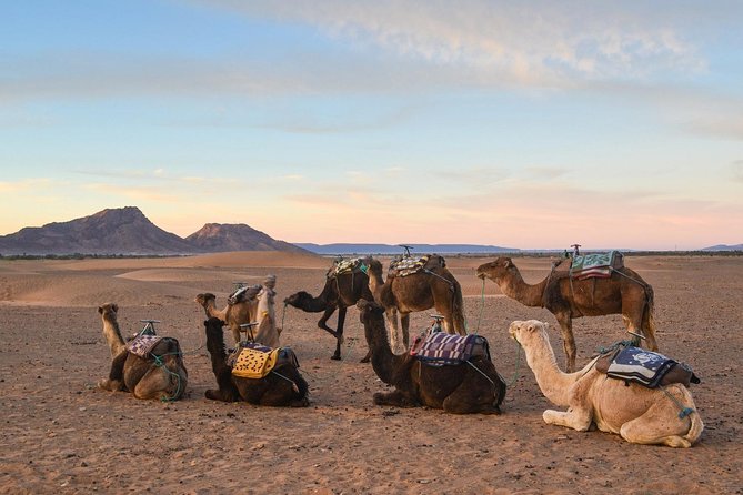 Zagora Desert and Draa Valley 2-Day Low Cost Group Tour - Tour Highlights