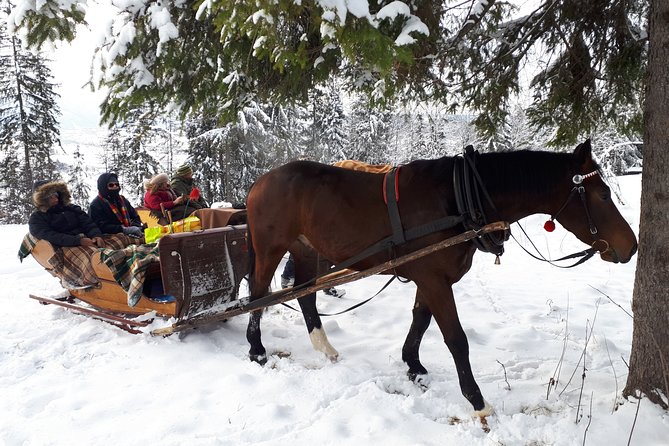 Zakopane and Horse Sleigh Ride in the Countryside, Private Tour From Krakow - Booking Details
