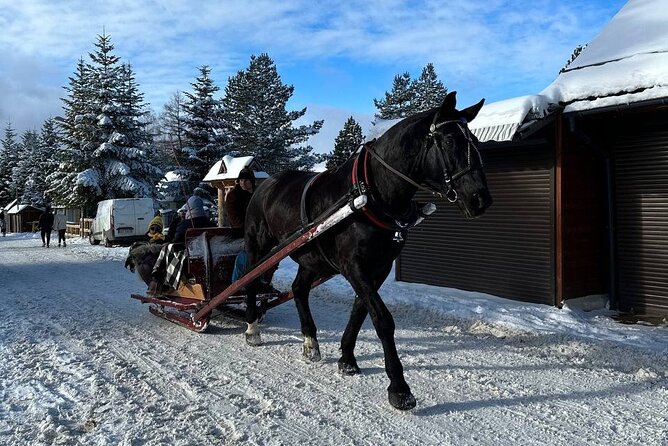 Zakopane Day Tour With Hotel Pick up and Optional Thermal Spa - Tour Duration