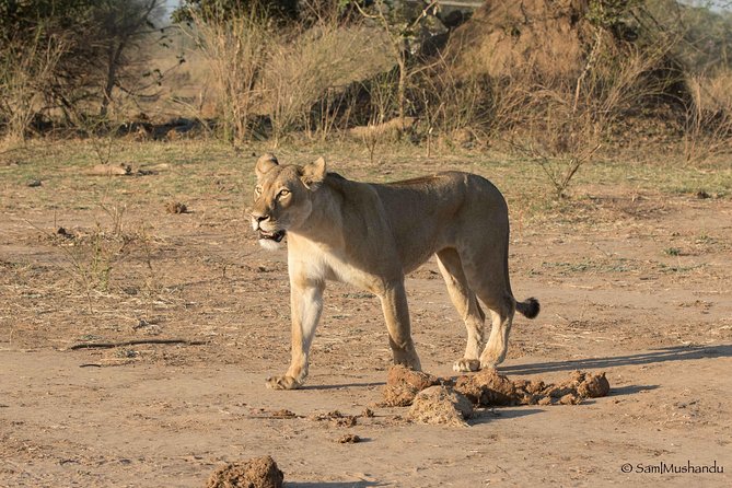 Zambezi National Park Game Drive AM /PM - Frequently Asked Questions