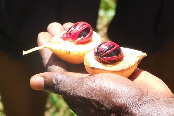 Zanzibar Cooking Class [Swahili Food Test ] and Spice Farm Private Tour - Booking Directions