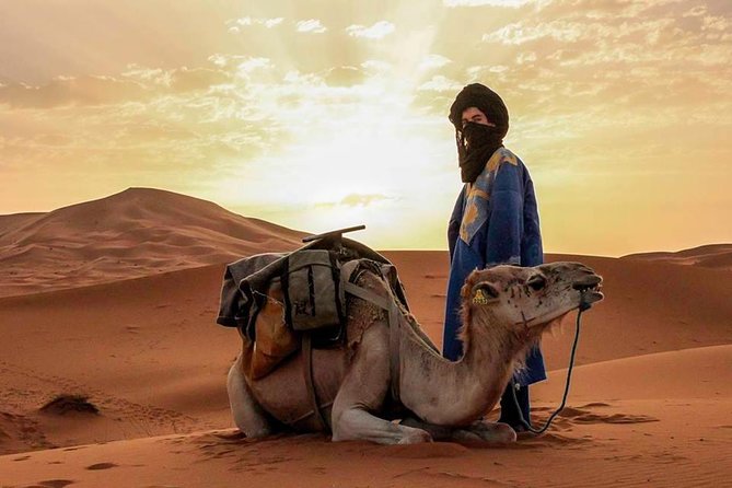 3d/2n Desert Tour From Fez to Marrakesh (With Small Group) - Good To Know