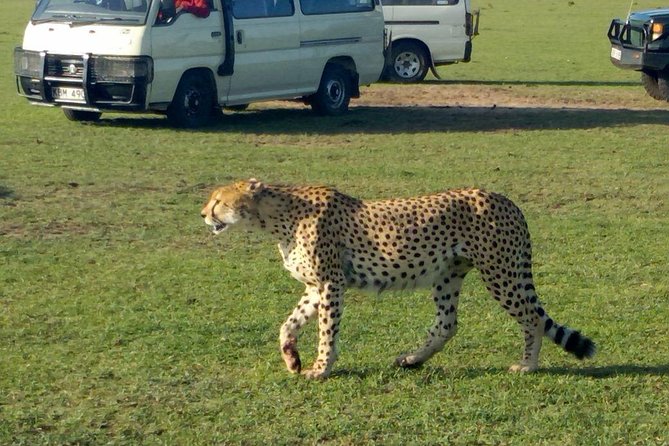 3Days 2nights Masai Mara Group Joining Safari - Good To Know