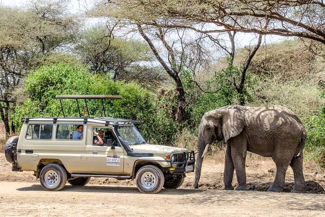 3Days Luxury Safari to Tarangire Ngorongoro Crater and Manyara - Meeting and Pickup Details