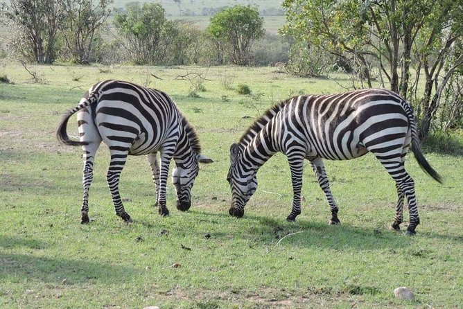 3days Safari - Good To Know