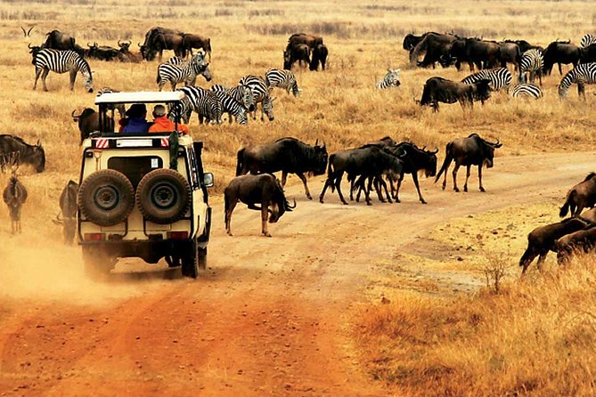 4 Day Mid-range Safari Serengeti , Ngorongoro and Tarangire National Park - Accommodation Options