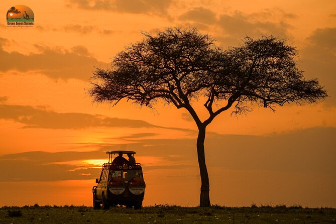 4-Day Private Masai Mara Kenya Safari Tour - Good To Know