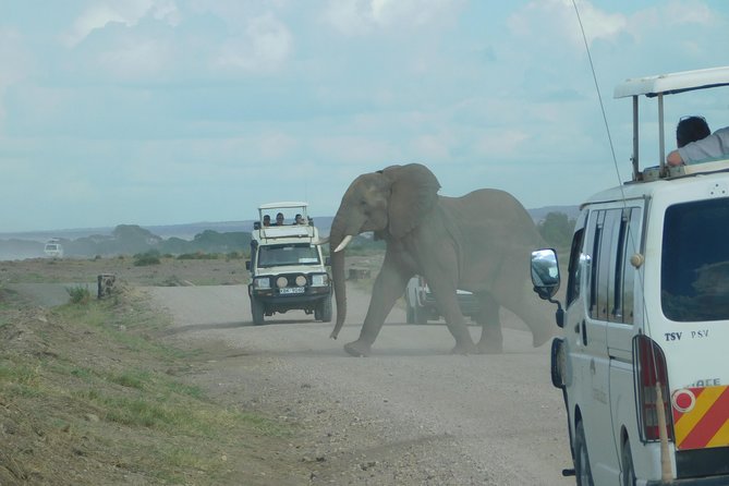 4 Day Private Masai Mara National Reserve & Lake Nakuru National Park Safari
