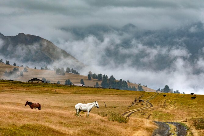 4 Days 3 Nights Tour to Tusheti With Hiikes