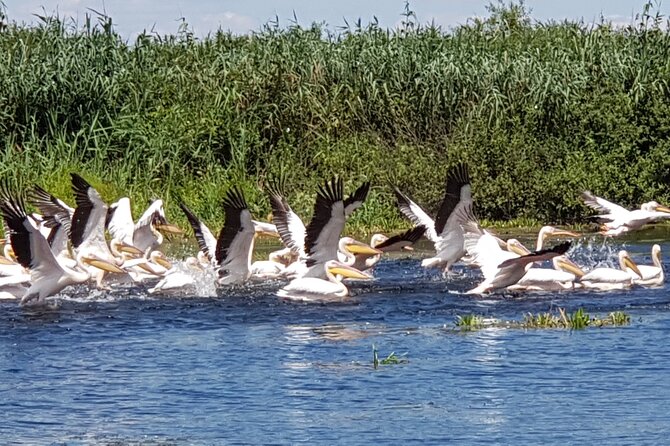 4 Days in the Heart of Danube Delta - Itinerary Overview