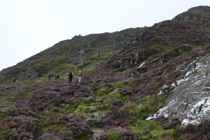 4 Days Mount Kenya - Good To Know