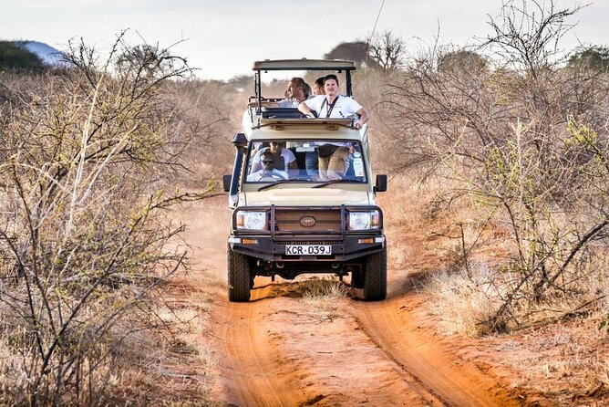 4 Days Private Safari Tour Tsavo and Amboseli From Nairobi - Good To Know