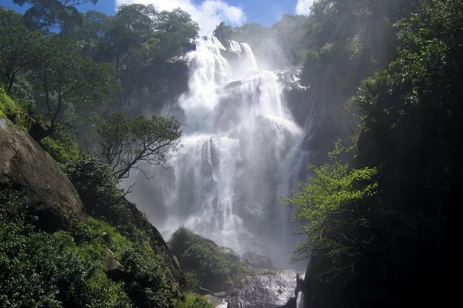 4 Days Safari to Mikumi NP and Udzungwa Mountain NP Mid - Range Accommodation - Good To Know