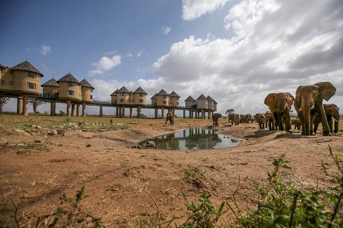 4 Days Special Circuit in Kenya -Tsavo-Saltlick Safari(Min 2 Pax) - Good To Know