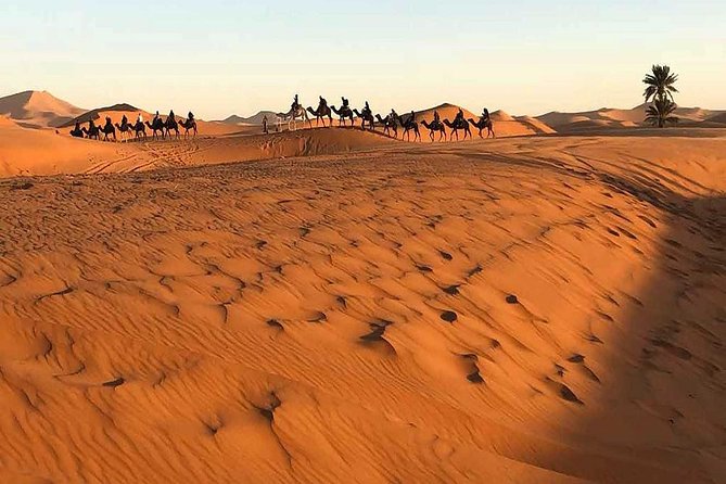 4 Days Tour From Marrakesh to Fes - Good To Know