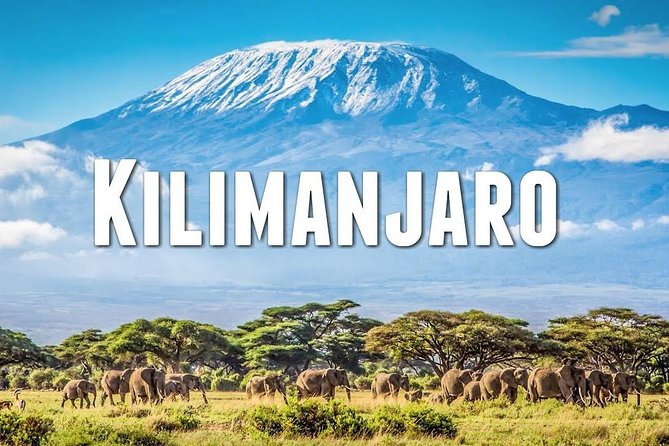 4 Days Tsavo East National Park, Amboseli & Taita Hills Wildlife Sanctuary - Good To Know