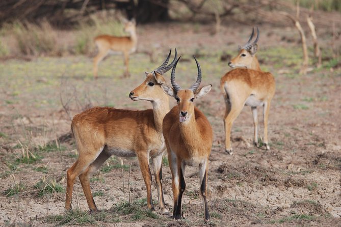 4 Days Wildlife Safari Cycling and Hiking Adventure Holiday