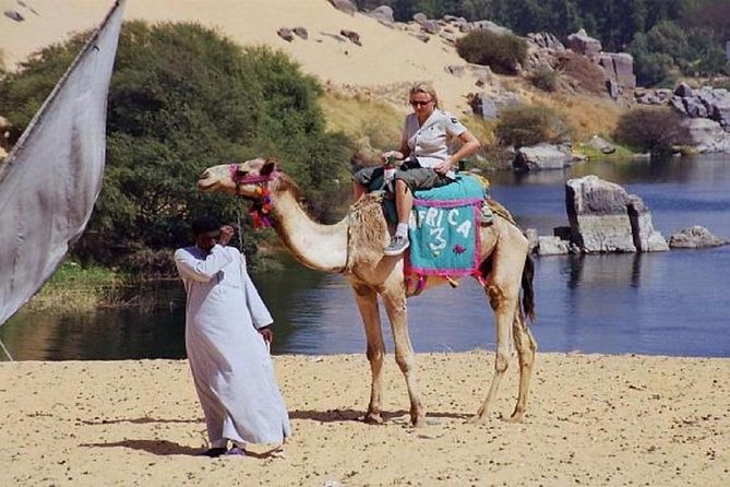 4 Hours Private Safari by Camel, Aswan - Good To Know