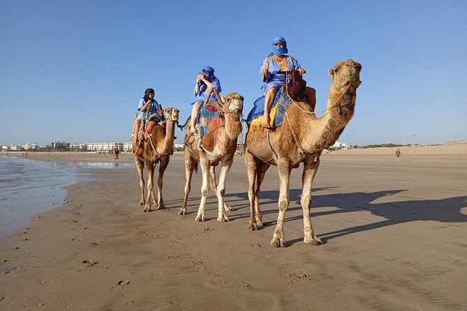 1/2 Day Camel Trekking in Essaouira With Meals - Whats Included