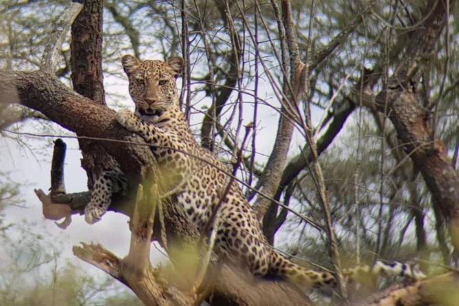 1 Day Akagera Wildlife Safaris and Boat Tour (2 Pax Min) - Cancellation Policy