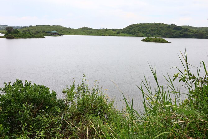 1 Day Arusha National Park (Game Drive and Walking Safari). - The Sum Up