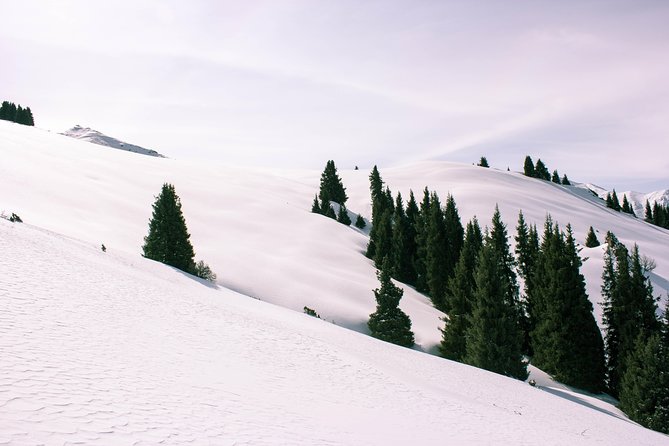 1-day Backcountry Tour - Pickup Information