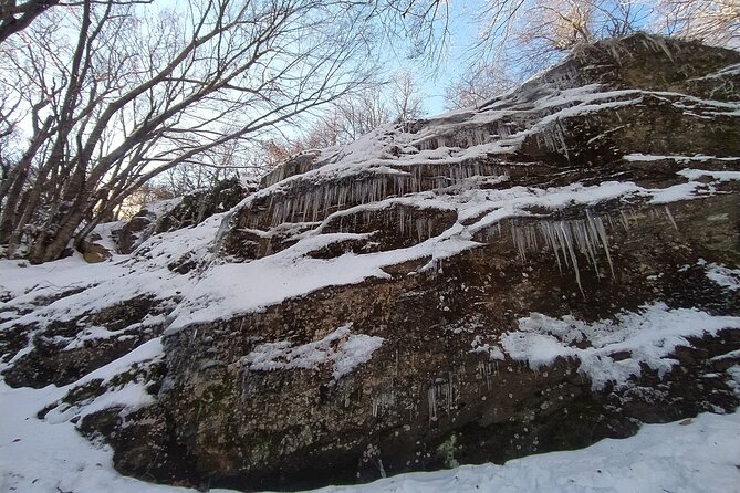 1 Day Chortiatis Thessaloniki Private Hiking Tour - Cancellation Policy
