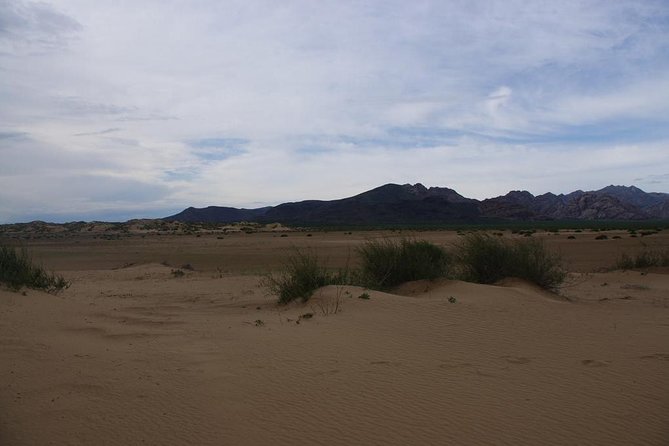 1 Day Semi-Gobi Tour Including Lunch And Free Camel or Horseback Ride - Traveler Tips