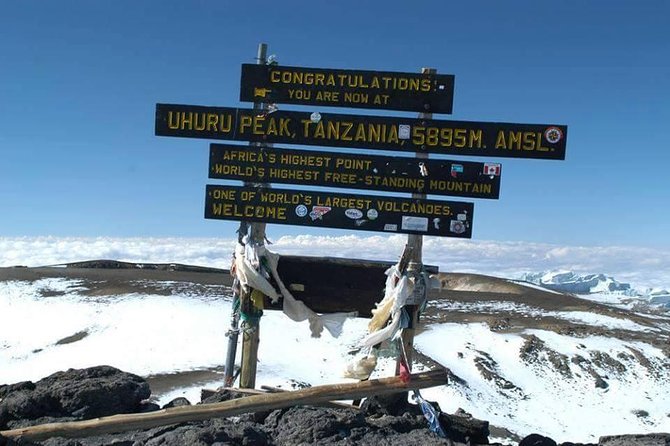 1 Day Tour Hike Mount Kilimanjaro Through Marangu Route - Reviews