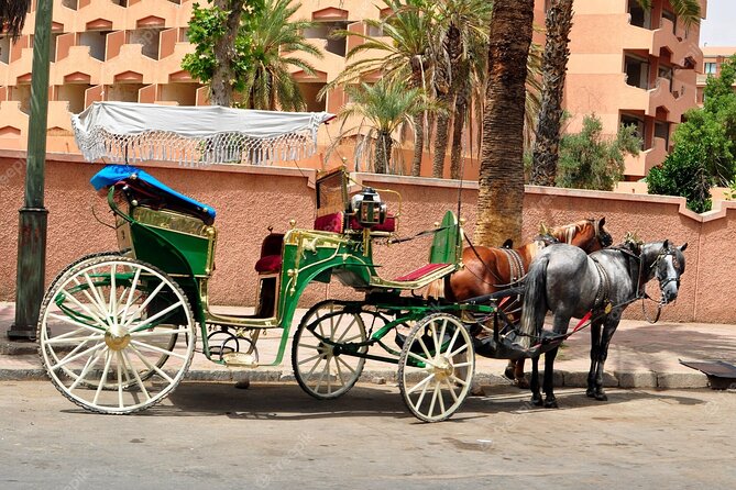 1-Hour Horse Carriage Ride: Discover Marrakech in Style - Convenient Logistics