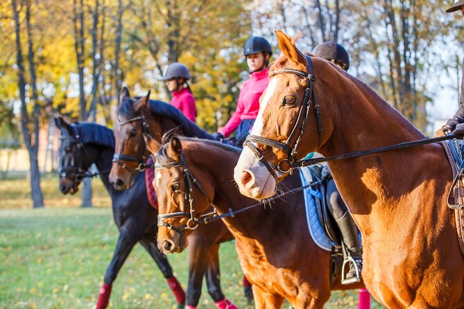 1-Hour Small-Group Horseback Riding Guided Activity From Ljubljana - Additional Information