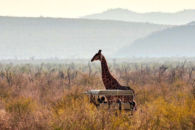 1 Night Madikwe Game Reserve - Cancellation Policy Details