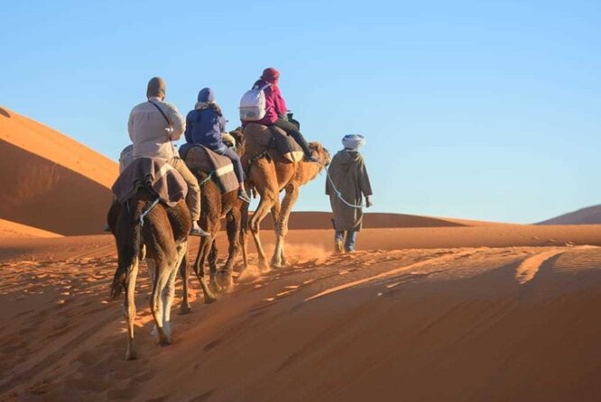 1 Night Merzouga Camel Trekking - Meeting Points Selection