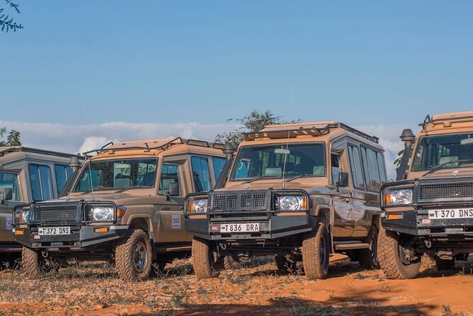 10 Day Private Celebrity Tanzania Safari Experience - Spa and Wellness Retreats
