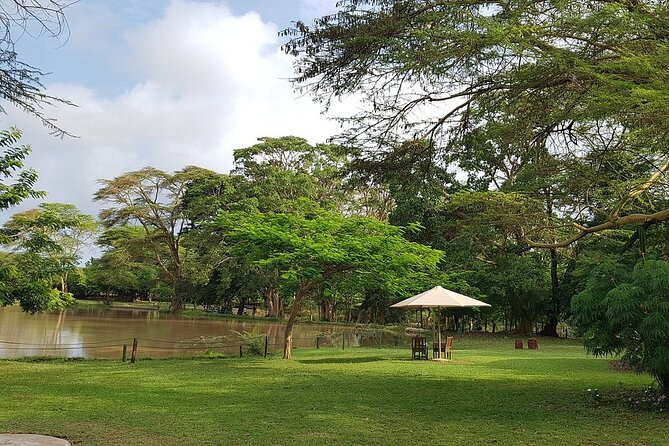 10 Days Luxury Kenya Big 5 Wildlife Adventure Private Tour - Cultural Immersion Activities
