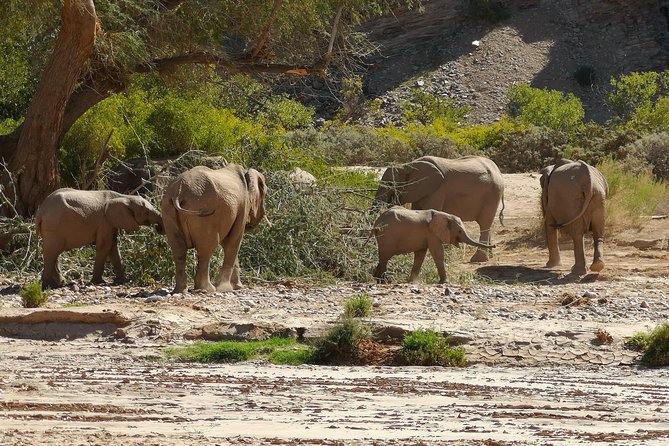 10 Days Namibia Tour and Safari Private Guided Tour - Cultural Immersion