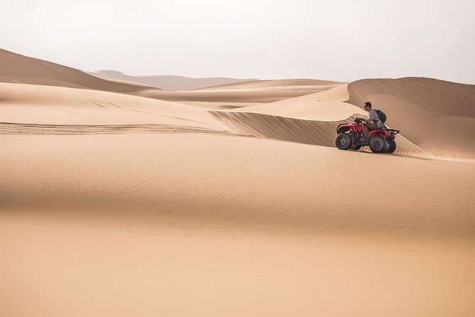 11 Day Breathtaking Namibia Guided Tour - Pickup and Transportation