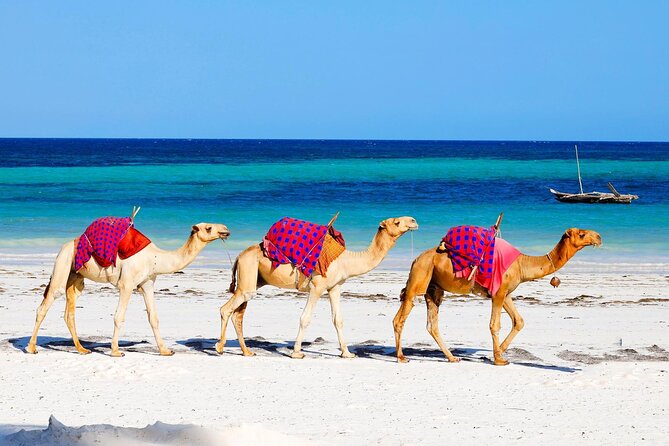 11 Days Kenya Big Five Bush & Beach Safari - Booking & Reservation