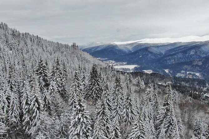14 Days Private Tour in Romania, Moldova, Transnistria From Bucharest - Meals and Beverages
