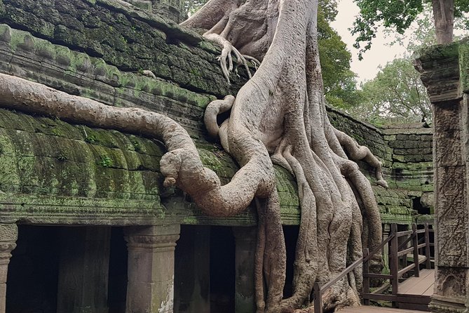 1day Private Tour, Angkor Sunrise,All Main Temples, Banteay Srei - Tour Logistics