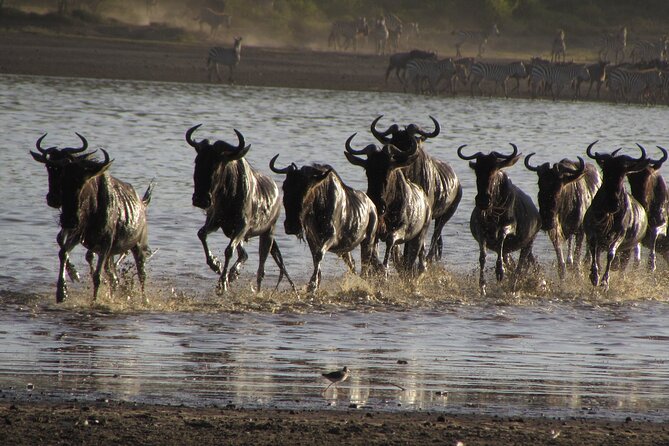 2-Day Sublime Safari to Tarangire and Ngorongoro Safari - Cancellation Policy