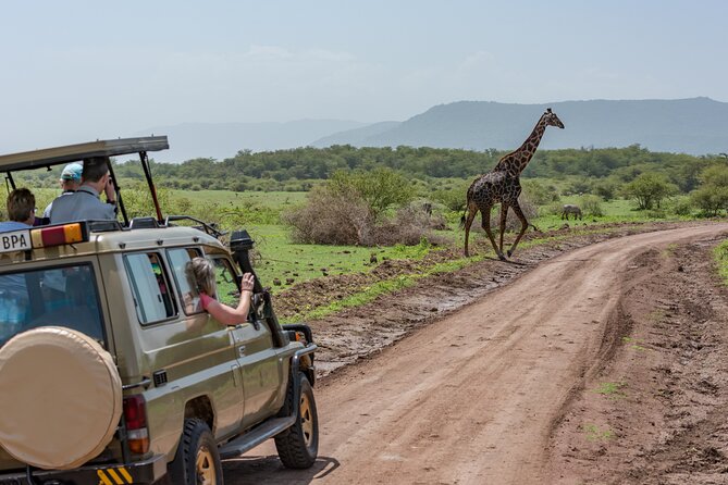 2-Day Tanzania Safari Extension After Kilimanjaro Trek - Departure and Return Logistics