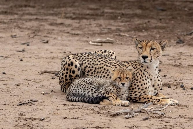 2 Days / 1 Night Join Group Safari - Group Size Limit