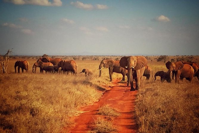 2 Days (1 Night) Red Elephant Special - Reviews and Ratings