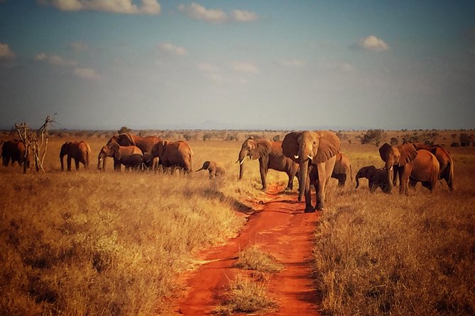2 Days (1 Night); Tsavo East & Saltlick Safari: - Itinerary Overview