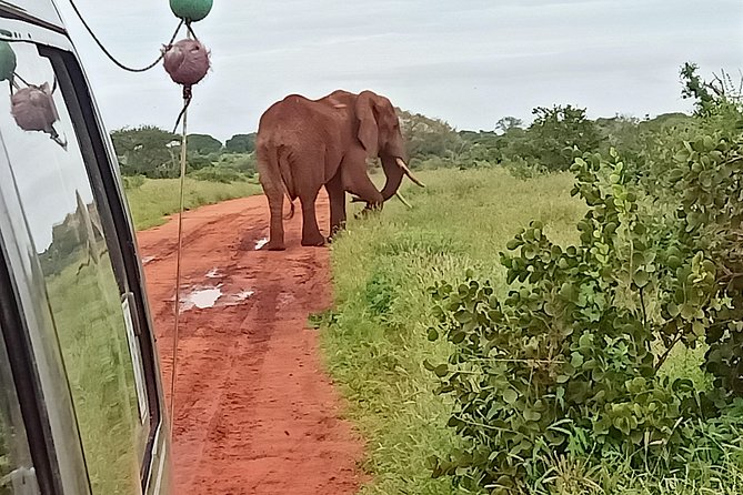 2 Days / 1 Night - Tsavo Explorer Safari - Frequently Asked Questions