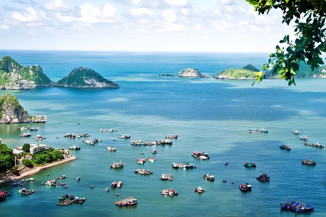 2 Days Adventure Cruise in Ha Long Bay - Pickup Options: Hotel or Marina