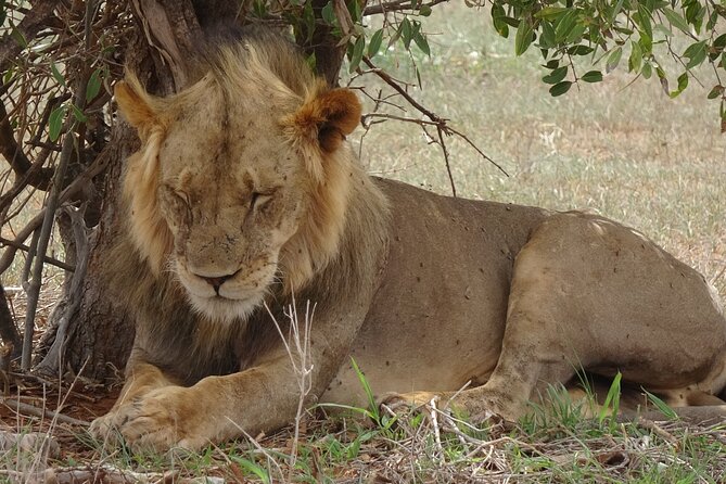 2 Days and 1 Night Private Tour in Tsavo East Safari - Frequently Asked Questions