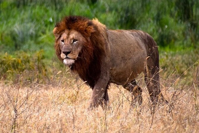2 Days Enjoy Serengeti National Park With Balloon Safari - Pricing Information